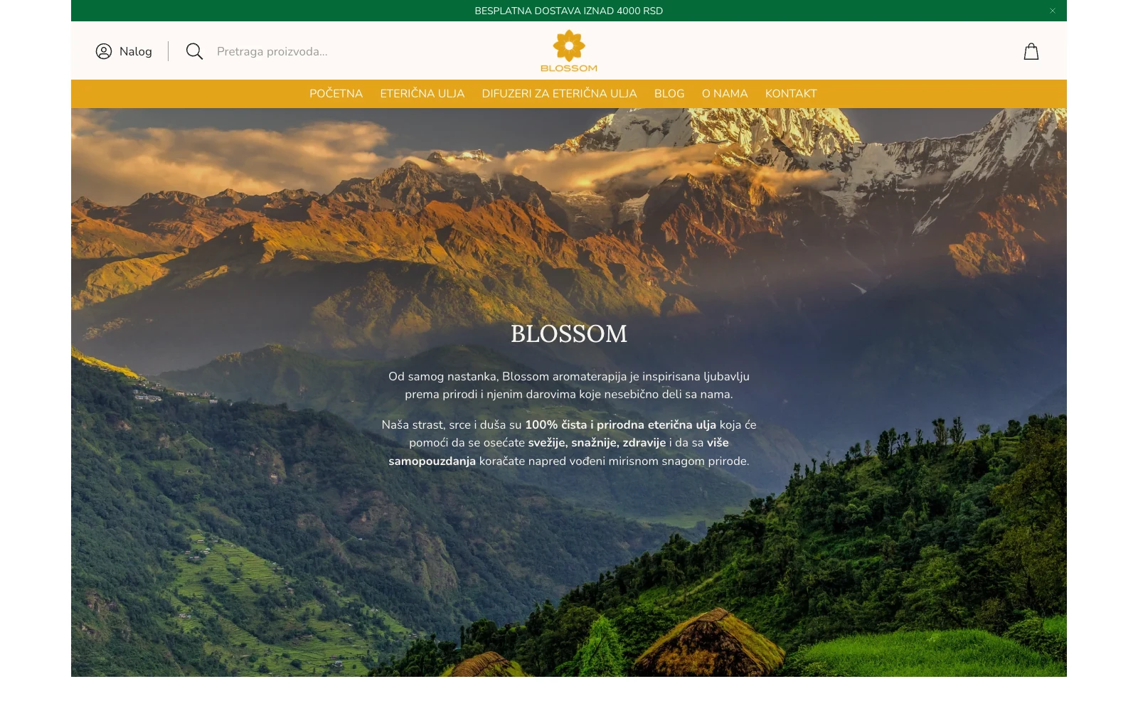 Blossom website homepage — SEO project
